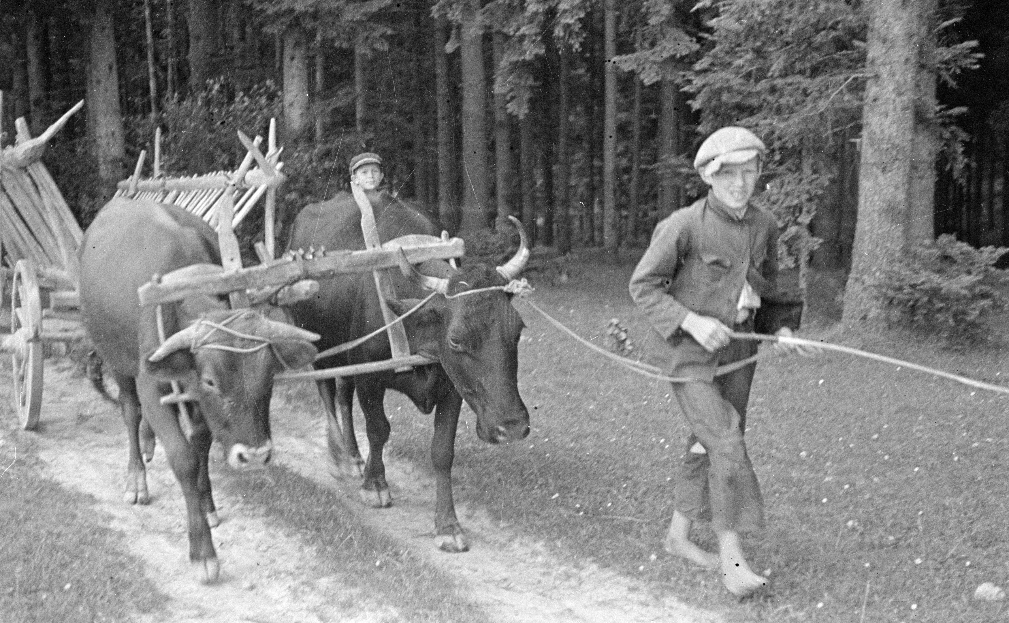 Halina Krahelska: Troska o młodzież (1933)